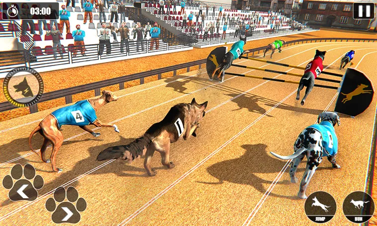 Bí Quyết Chơi Game Nhanh Đua Chó Tại W88 Để Thắng Lớn