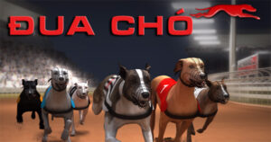 Bí Quyết Chơi Game Nhanh Đua Chó Tại W88 Để Thắng Lớn