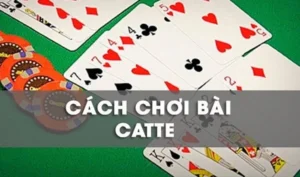 Bí Quyết Chơi Sắc Tê Nhà Cái W88 Hiệu Quả Từ Chuyên Gia